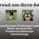 Hundephysiotherapie (Krankengymnastik),...